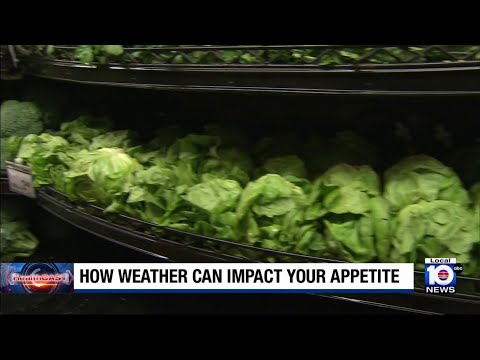 HealthCast: Dietitians explain how weather impacts our appetites 